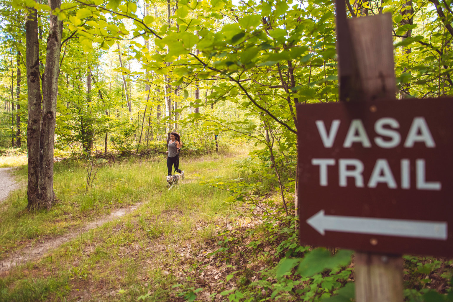 Vasa Pathway  TART Trails Inc.