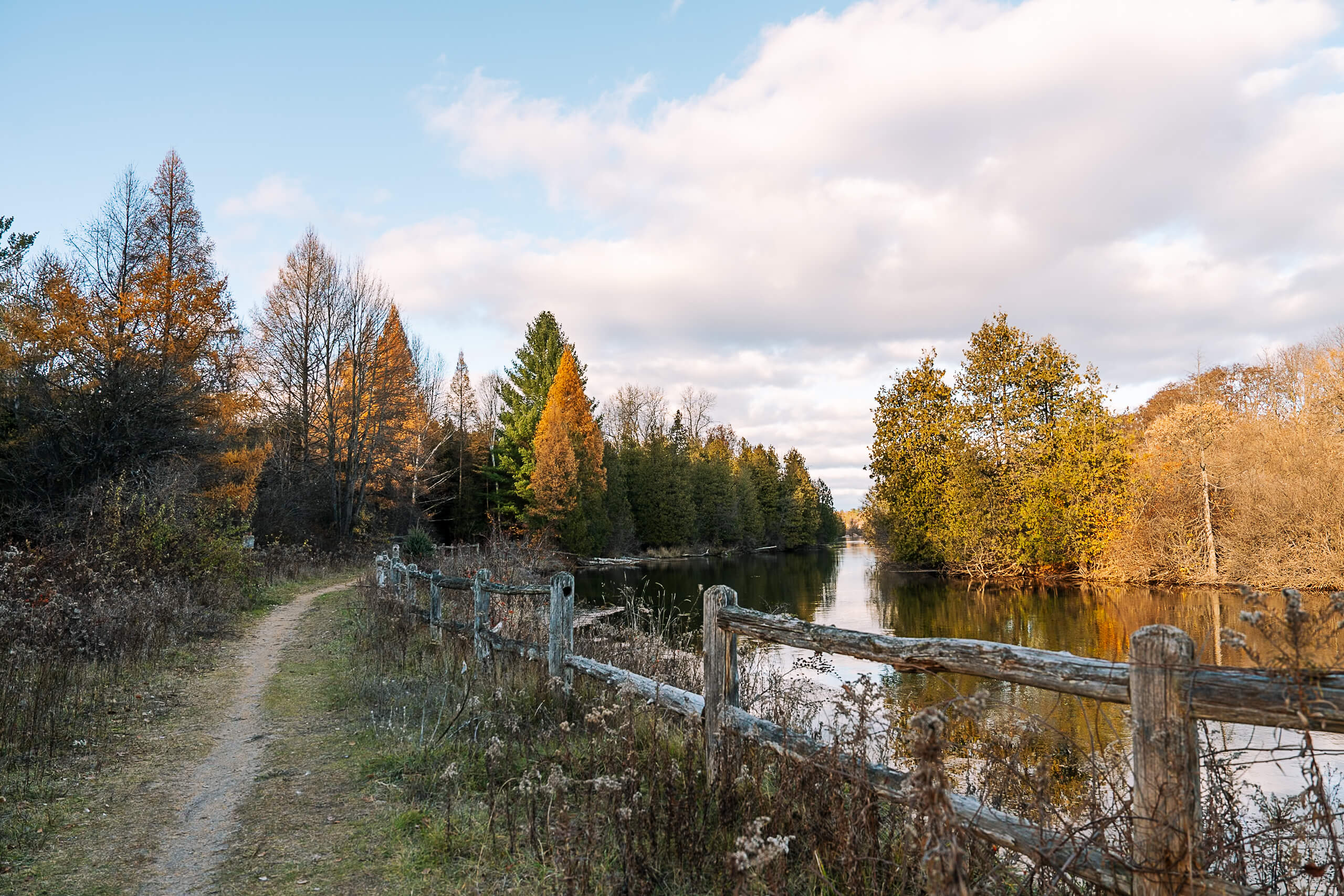 Trail through a natural landscape